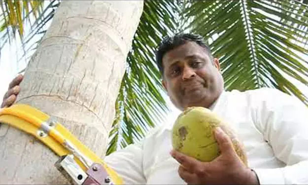 Sri Lankas Coconut Minister climbs a coconut tree to hold press conference