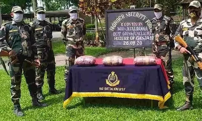 Guwahati Frontier of Border Security Force seized 18.5 kgs of ganja