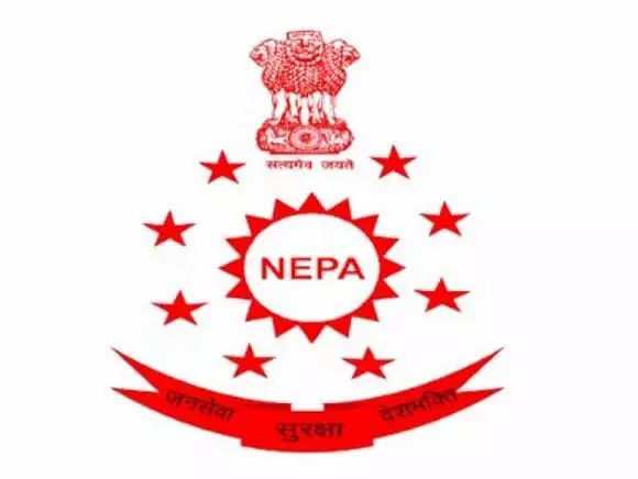 NEPA Recruitment 2021 - Assistant Director (IT), Swimming Coach, Deputy Assistant Director, and Life Guards Vacancy, Job Openings