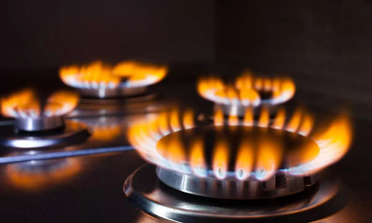 Petroleum & Natural Gas Ministry Launches New Gas Stove That Will Reduce Piped Gas Expenses by 25%