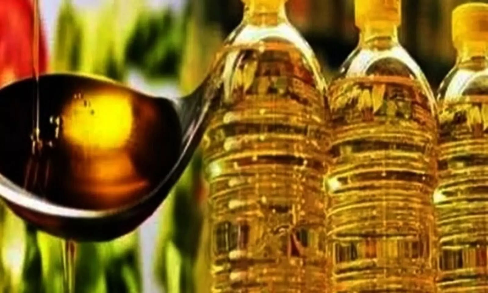 Domestic oil prices on decline, mustard oil outlier