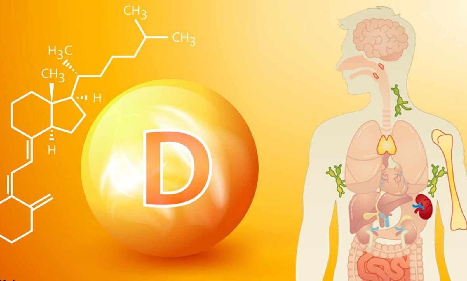 Symptoms of vitamin D