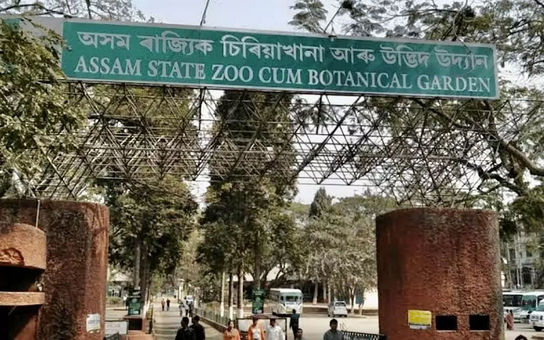 Deer Escapes From Assam State Zoo